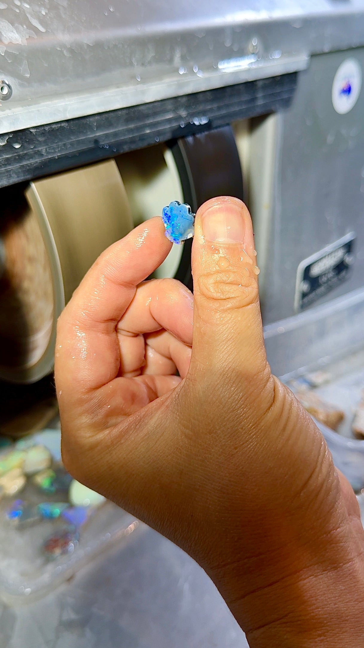 Hand cutting Sparkly Deep Blue Shell Black Opal.  Solid Natural Australian opal from Lightning Ridge. 