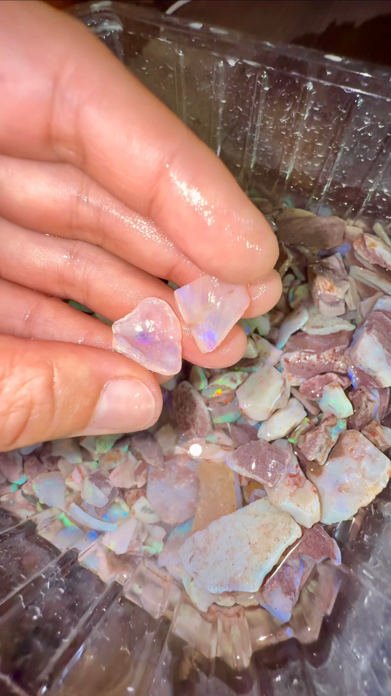 Mermaid Love Heart and Shell Opal Charms in solid 9ct Rose Gold